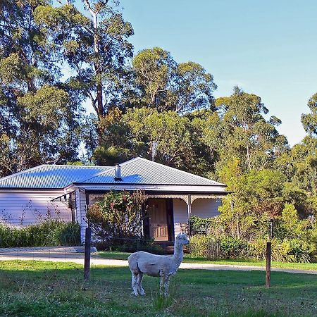 Araluen Park Cottages Lakes Entrance Zewnętrze zdjęcie