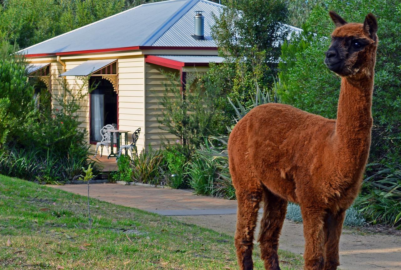 Araluen Park Cottages Lakes Entrance Zewnętrze zdjęcie