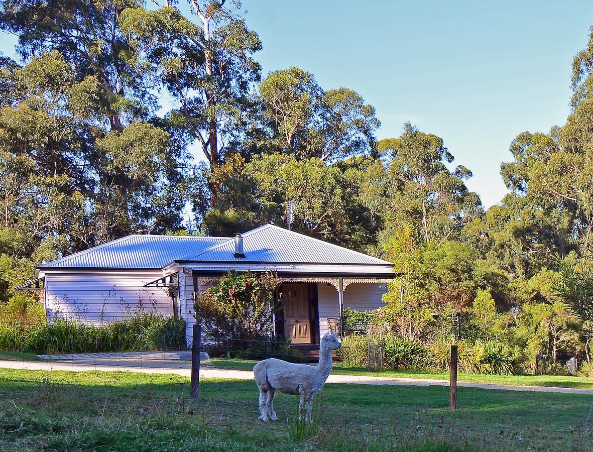 Araluen Park Cottages Lakes Entrance Zewnętrze zdjęcie